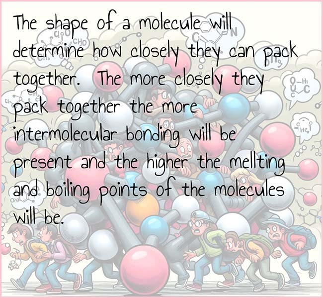 Image to show how shape of a molecule can affect the amount of intermolecular bonding and so the melting and boiling points of a molecule